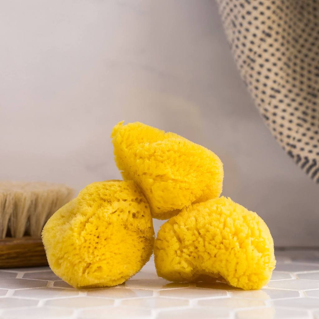 Silk Sea Sponge