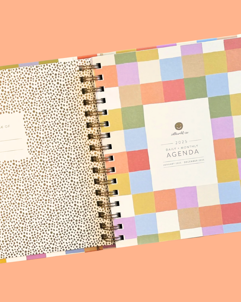 Rainbow Check 2025 Planner