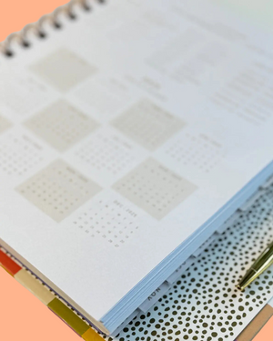 Rainbow Check 2025 Planner