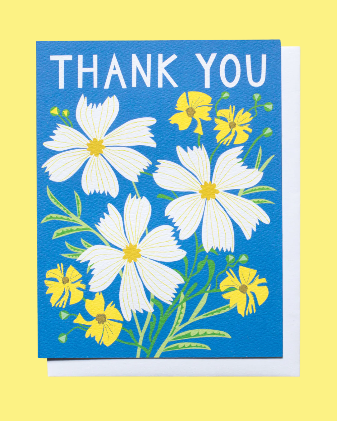 Cosmos Thank You Box Set of 6 Cards