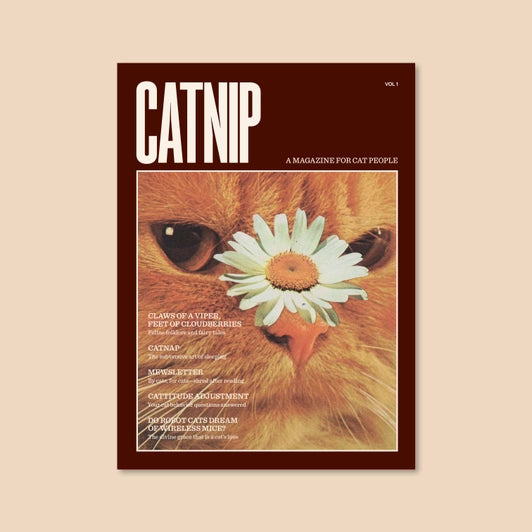 
            
                Load image into Gallery viewer, Catnip Magazine
            
        