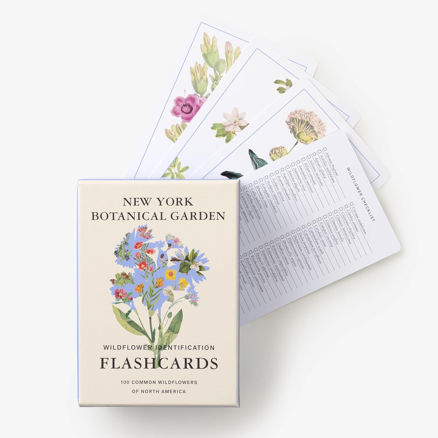 New York Botanical Garden Wildflower Identification Flashcards