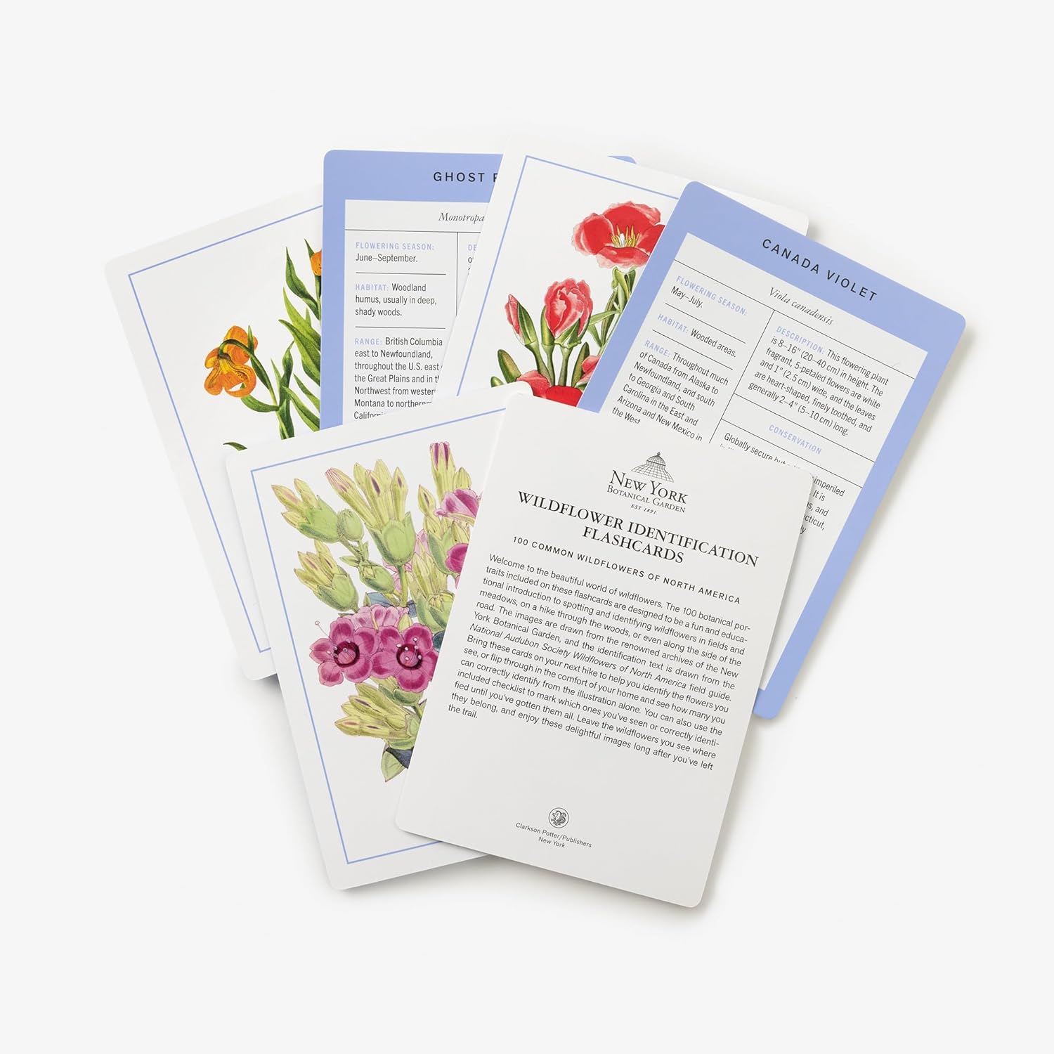 New York Botanical Garden Wildflower Identification Flashcards