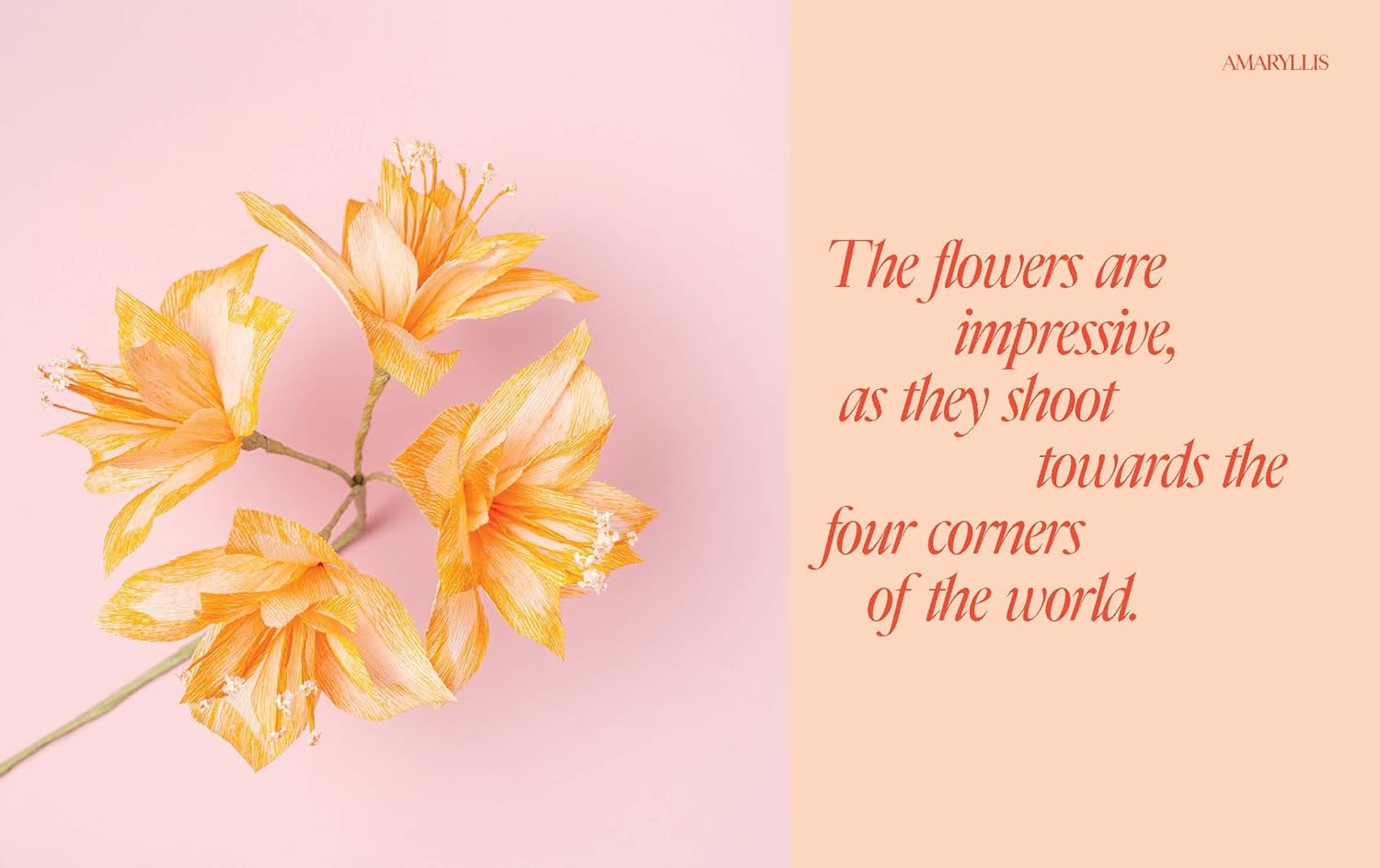 Paper Flowers: 15 Stylish Projects to Make Your Own