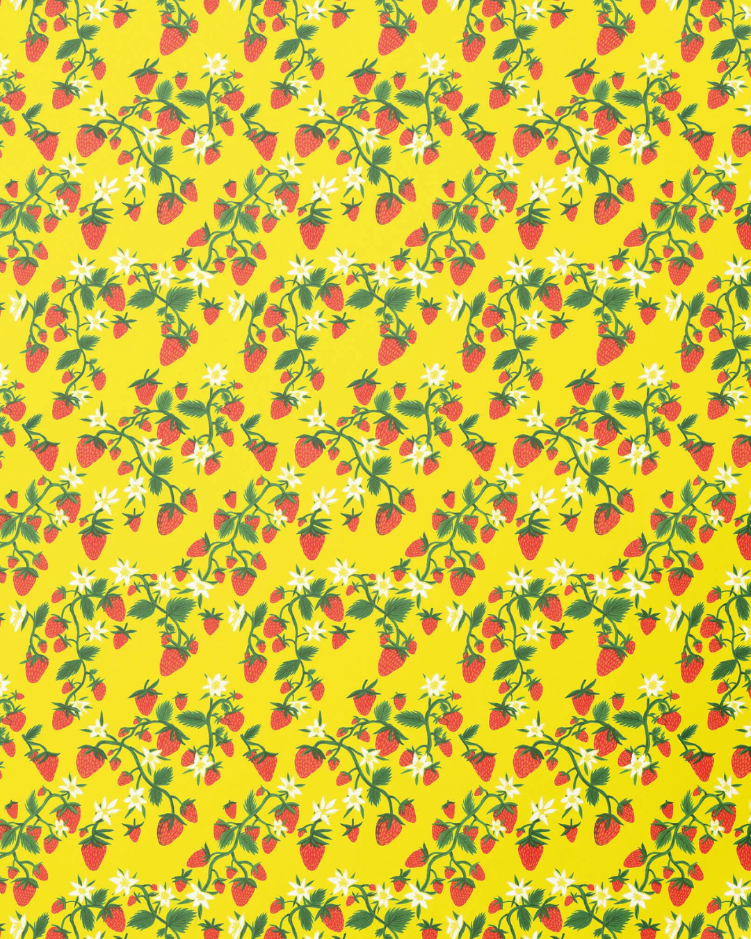 Wrapping Paper Roll