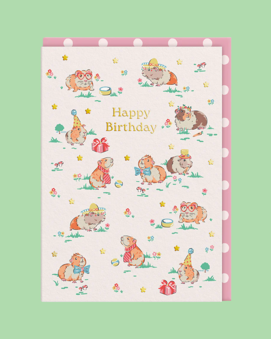 Guinea Pigs Birthday Card