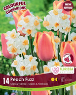 Peach Fuzz Companion Bulb Mix