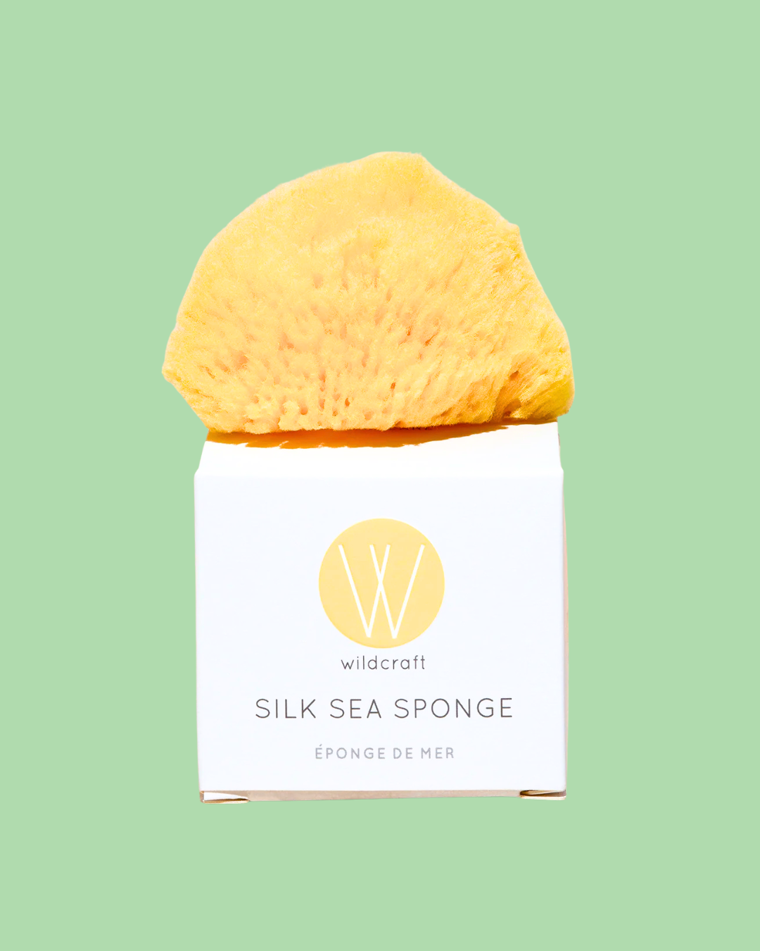 Silk Sea Sponge