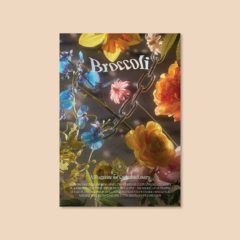 Broccoli Magazine, Issue 18