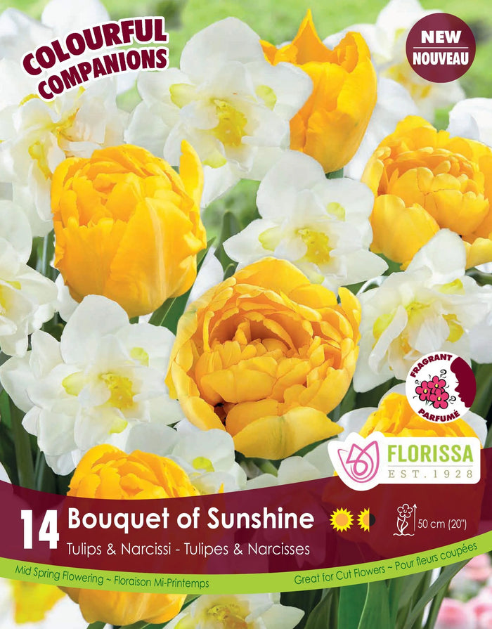 Bouquet of Sunshine Companion Bulb Mix