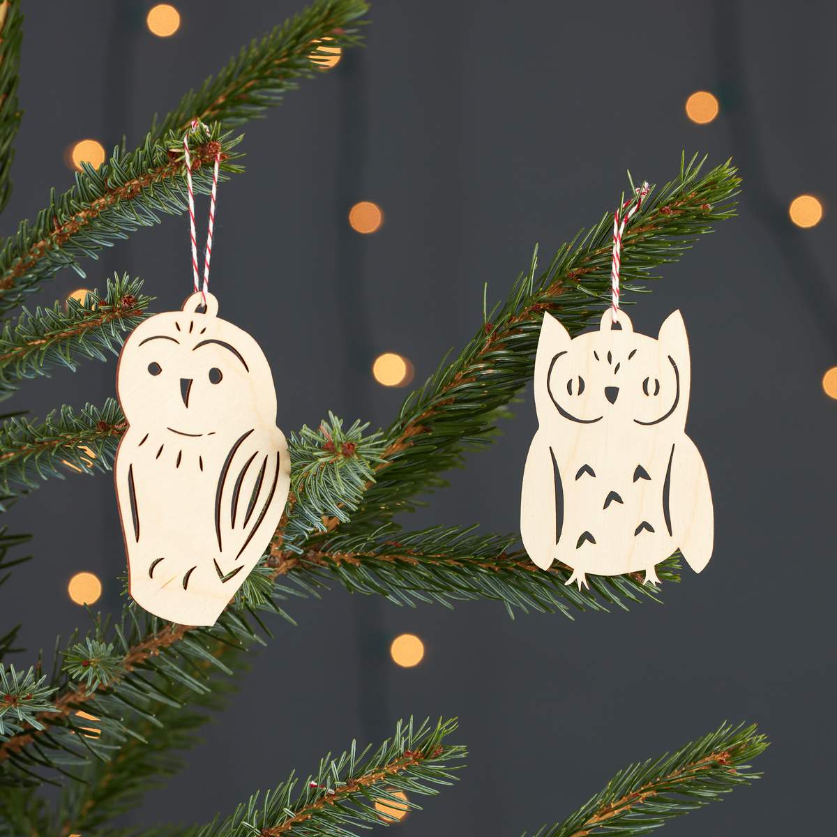Winter Wooden Ornaments