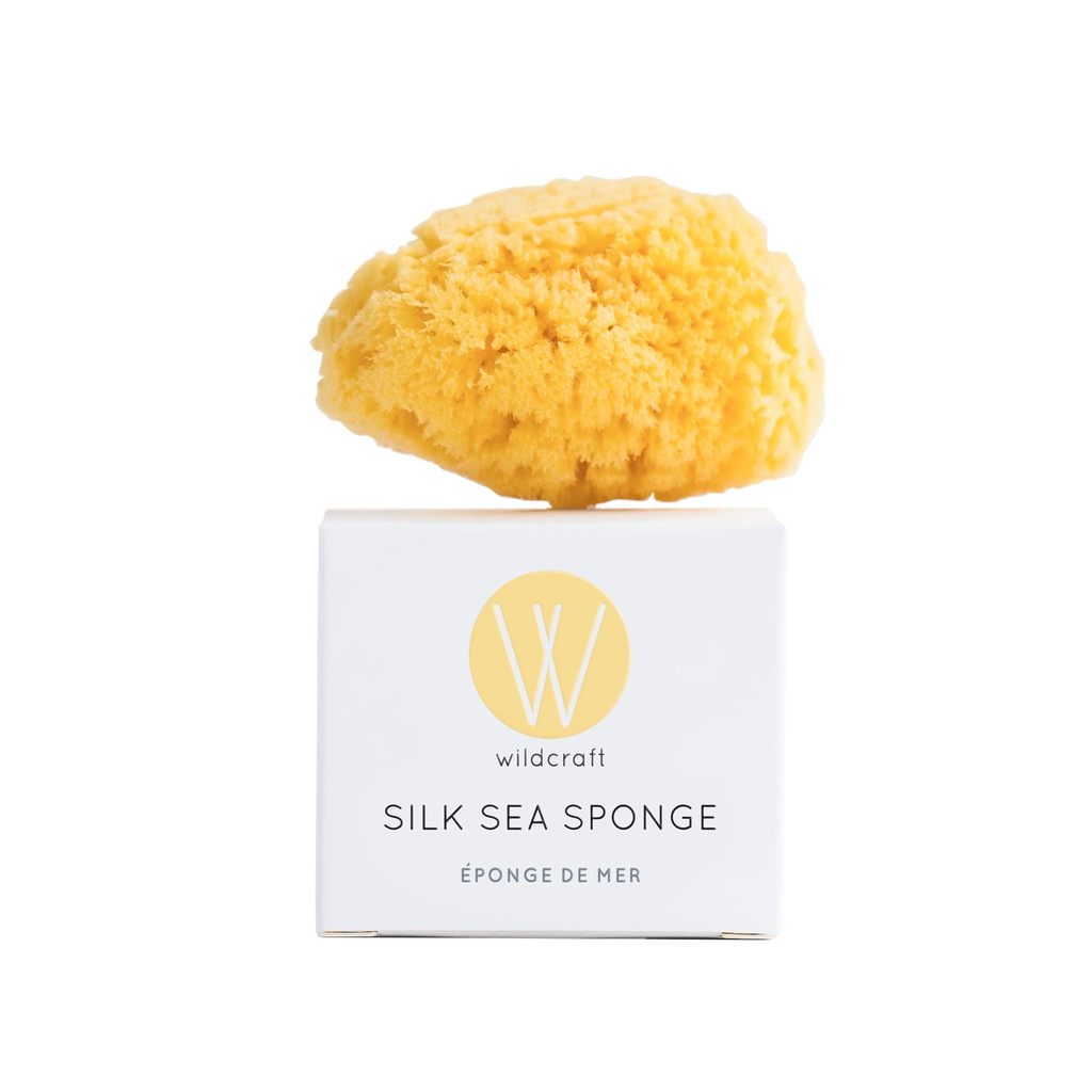 Silk Sea Sponge